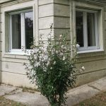 ablakok rolós szúnyoghálóval és alumínium párkánnyal